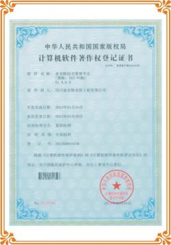 企業(yè)開發(fā)軟件著作權證書
